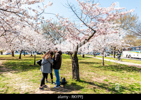 Washington DC, USA - April 5, 2018: Tourists people couple taking pictures by cherry blossom sakura trees in spring with potomac river by Ohio drive o Stock Photo