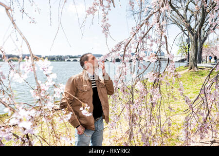 Washington DC, USA tourist people young man standing by cherry blossom sakura tree branch in spring with potomac river memorial bridge on national mal Stock Photo