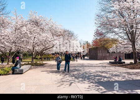 Washington DC, USA - April 5, 2018: Tourists walking by Franklin Delano Roosevelt FDR memorial on cherry blossom sakura trees in spring during festiva Stock Photo