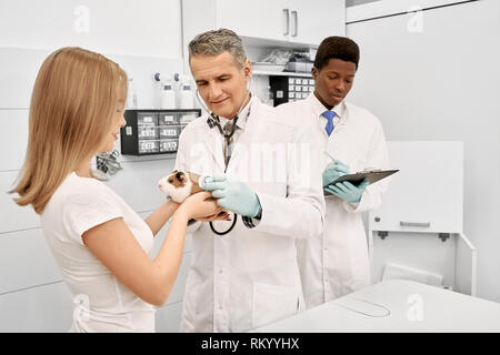 Woman, owner holding hamster in hands while doctor examining pet with stethoscope. African assistant writing in folder. Professional veterinarian wearing in medical gown and gloves. Stock Photo