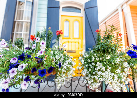 Closeup of purple and blue calibrachoa petunia flowers basket hanging on fence by colorful building house entrance and nobody on sidewalk in New Orlea Stock Photo