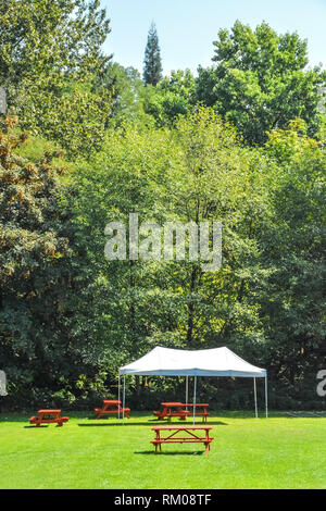 Rest area with red picnic tables and white tent installed on green lawn in a park Stock Photo
