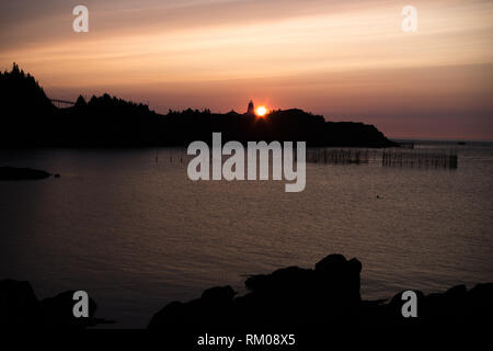 Sunrise over Swallowtail Lighthouse on Granmd Manan with seal in the cove Stock Photo