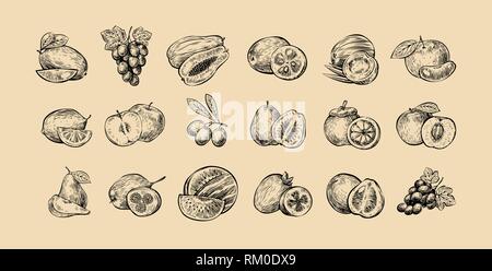 Set of fruits. Fresh food, healthy eating sketch. Hand drawn vector illustration Stock Vector