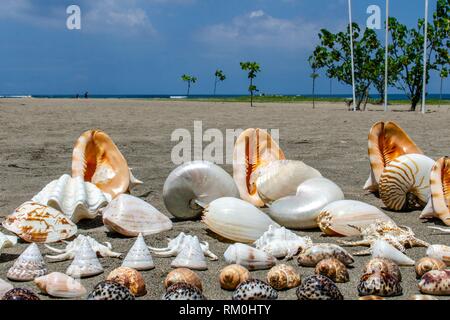 Sea Shells For Sale, Kuta Beach, Bali, Indonesia Stock Photo - Alamy