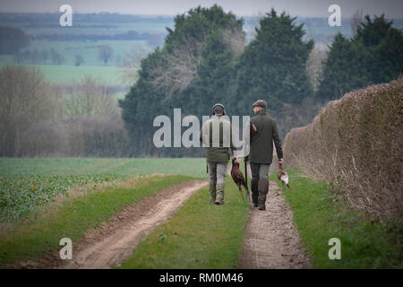Traditional English game shooting in the autumn countryside with gun dogs. Stock Photo