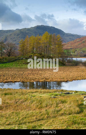 Autumnal view of the River Brathay  in the Lake District National Park, Cumbria, England. Stock Photo