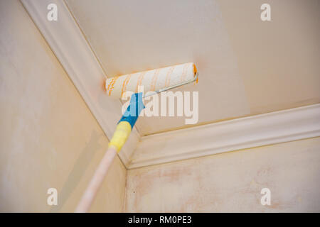 Painting A Gypsum Plaster Ceiling With Paint Roller Repairs