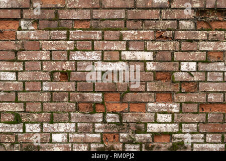 Old brick wall for background, Structure of the mortar wall is still unfinished. Stock Photo