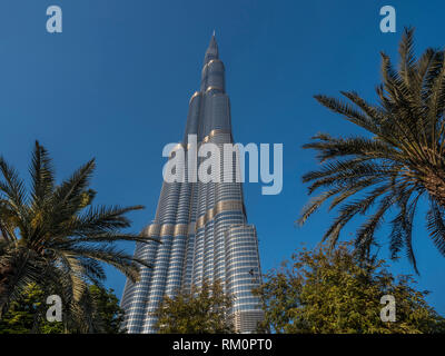 The Burj Khalifa rises above date palms in the desert oasis of Dubai. Stock Photo