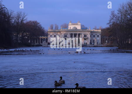 Ducks on the frozen lake at Łazienki Palace in Warsaw, Poland Stock Photo