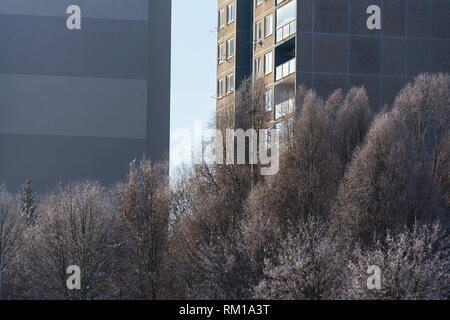 Insulated panel house apartments behind trees, high-rise block of flats, prefabricated tower blocks from concrete slabs, large panel system building,  Stock Photo