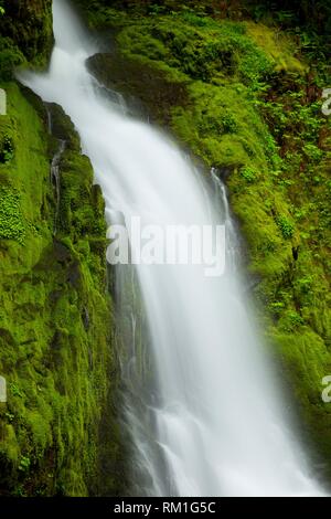 Hemlock Falls, Umpqua National Forest, Oregon.