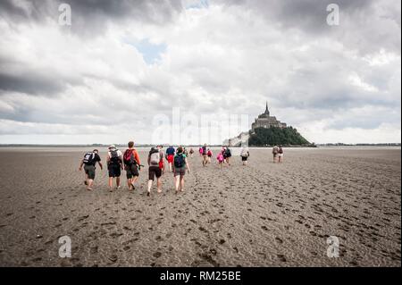 Guided tour to cross Mont Saint Michel bay during low tide (department of Manche, region of Normandie, France).