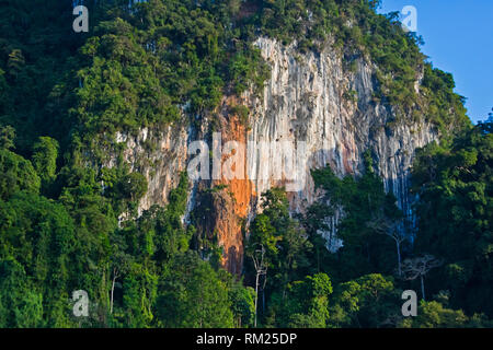 Rainforest hangs onto the KARST FORMATIONS which rise out of CHEOW LAN LAKE in KHAO SOK NATIONAL PARK - THAILAND Stock Photo