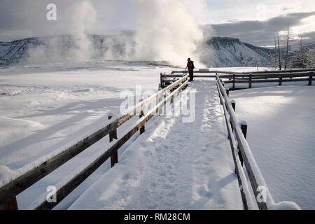 WY03641-00...WYONING - Snow covered Upper Terraces of Mammoth Hot Springs in Yellowstone National Park. Stock Photo