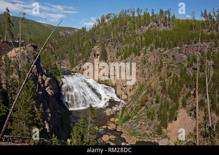 WY03463-00...WYOMING - Gibbon Falls in the Gibbon River Gorge of Yellowstone National Park. Stock Photo