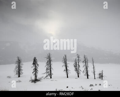 WY03647-00...WYOMING - Stormy day in the Lamar Valley of Yellowstone National Park Stock Photo