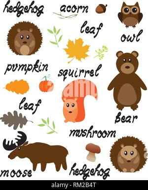 vector illustration of woodland animals nature background with words. Stock Vector