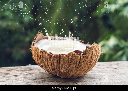 Coconut fruit and milk splash inside it on a background of a palm tree Stock Photo