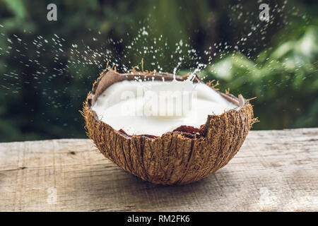 Coconut fruit and milk splash inside it on a background of a palm tree Stock Photo