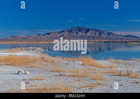 Dramatic Colors in the Great Basin at the Crystal Reservoir in Ash Meadows National Wildlife Refuge in Nevada Stock Photo