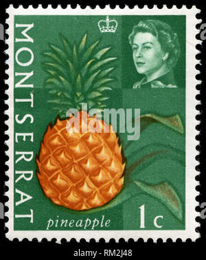 Postage stamp from Montserrat in the Agriculture products series issued in 1965 Stock Photo