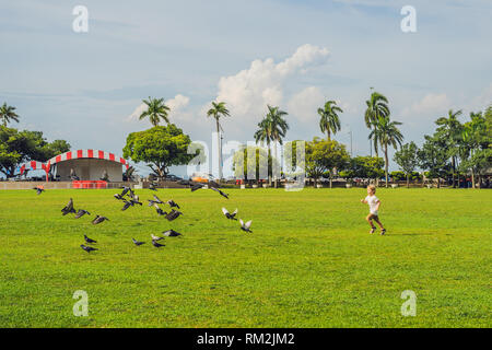 Boy on Padang Kota Lama or simply called The Padang, is the parade ground and playing field created by the British colonials in the civic district of Stock Photo