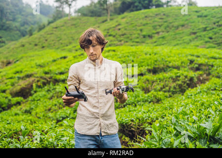 Men tourist tries to launch the drone at a tea plantation. Natural selected, Fresh tea leaves in tea farm in Cameron Highlands, Malaysia. Ecotourism Stock Photo