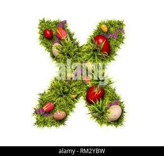 Easter holiday letter X made of fresh green grass and Easter eggs isolated on white background Stock Photo