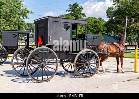 Old fashioned Amish horse-drawn buggy, USA Stock Photo - Alamy