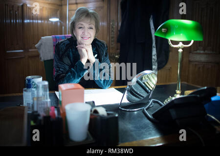 Leader of the House of Commons Andrea Leadsom in her office in the Houses of Parliament, London. She said she was 'desperately keen' to 'crack on' with introducing legislation to establish independent statutory bodies to provide governance for Parliament's restoration work. Stock Photo