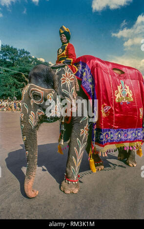 Mysore palace on Mandala | Mandala artwork, Mandala, Mandala pattern