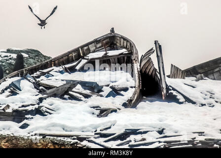 Broken boat on the shore sprinkled with snow. The bird flies over the destroyed boat. Stock Photo
