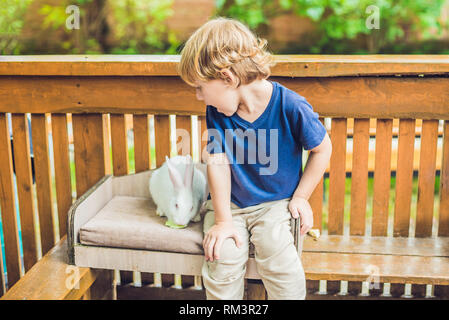 toddler boy caresses and playing with rabbit in the petting zoo. concept of sustainability, love of nature, respect for the world and love for animals Stock Photo