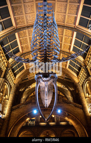 The Natural History Museum, London, Uk Stock Photo