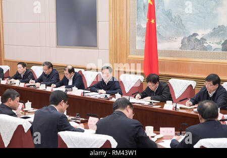(190213) -- BEIJING, Feb. 13, 2019 (Xinhua) -- Chinese Vice Premier Han Zheng, also a member of the Standing Committee of the Political Bureau of the Communist Party of China Central Committee, presides over a meeting of China National Committee for Biodiversity Conservation in Beijing, capital of China, Feb. 13, 2019. (Xinhua/Wang Ye) Stock Photo