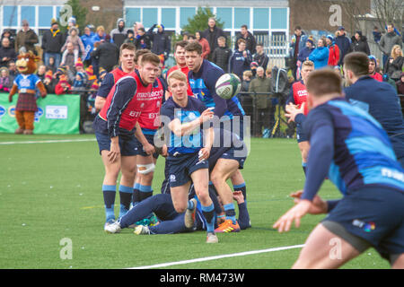 Clydebank, Scotland, UK. 13th February, 2019. Scotland and Scotland U20s during the open training session at Clydebank Community Sport Hub, near Glasgow, during the Guinness Six Nations fallow week. Iain McGuinness / Alamy Live News Stock Photo