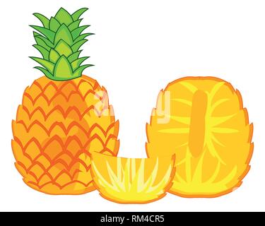 Fruit of the pineapple on white background insulated Stock Vector