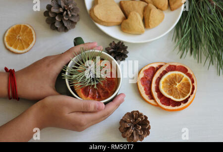 Warm composition on the table, a red scarf, dried oranges, heart-shaped cookies, a cup of hot tea with a slice of grapefruit and pine branches Stock Photo