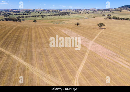 Expansive aerial view of farm land near Cowra in the central west of New South Wales. The areas around Cowra are very productive farming land for shee Stock Photo