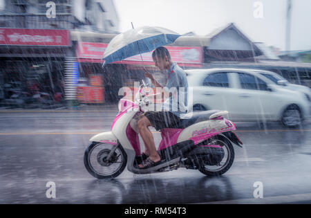 Young man riding a moped in the rain, carrying an umbrella, along a road in Phuket, Thailand. Stock Photo