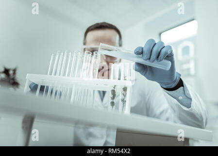 Scientist in clear glasses filling all empty tubes against him Stock Photo