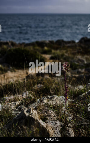 road along coastline in Italy Stock Photo