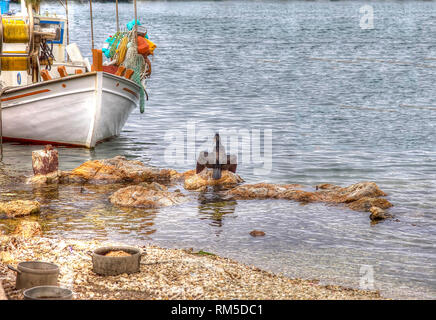 Phalacrocorax  Seabird .Black sea bird drying his wings on a rock next to a Greek fishing boat in the Aegean Sea. Stock Image. Stock Photo