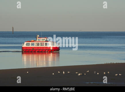 Wyre Rose, the Ferry across the Wyre Estuary from Knott End to Fleetwood, Lancashire Stock Photo