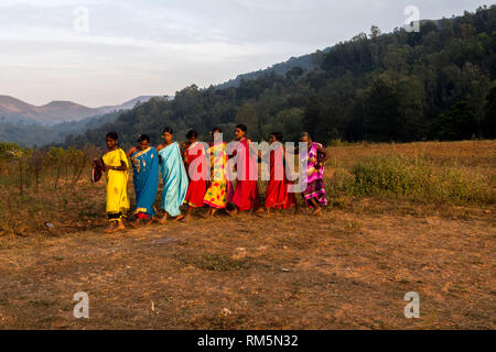 women performing Dhimsa folk dance, Andhra Pradesh, India, Asia Stock Photo