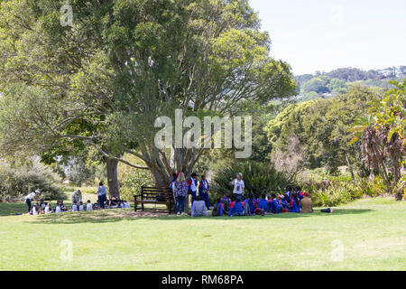 Groups of schoolchildren on an outing to Kirstenbosch Botanical Gardens, Cape Town with teachers learning the importance of plants and conservation Stock Photo