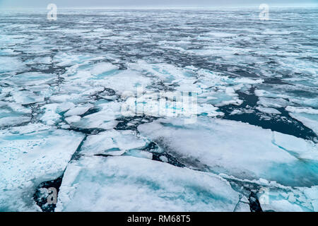 Arctic Sea ice floe. Photographed in Spitsbergen, Svalbard, Norway Stock Photo