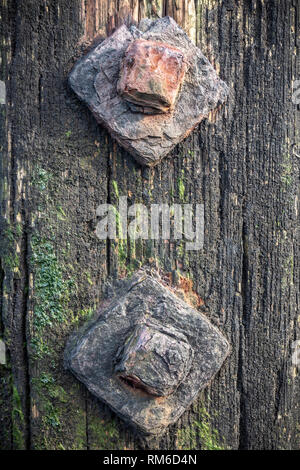 Old rusty bolts. Stock Photo